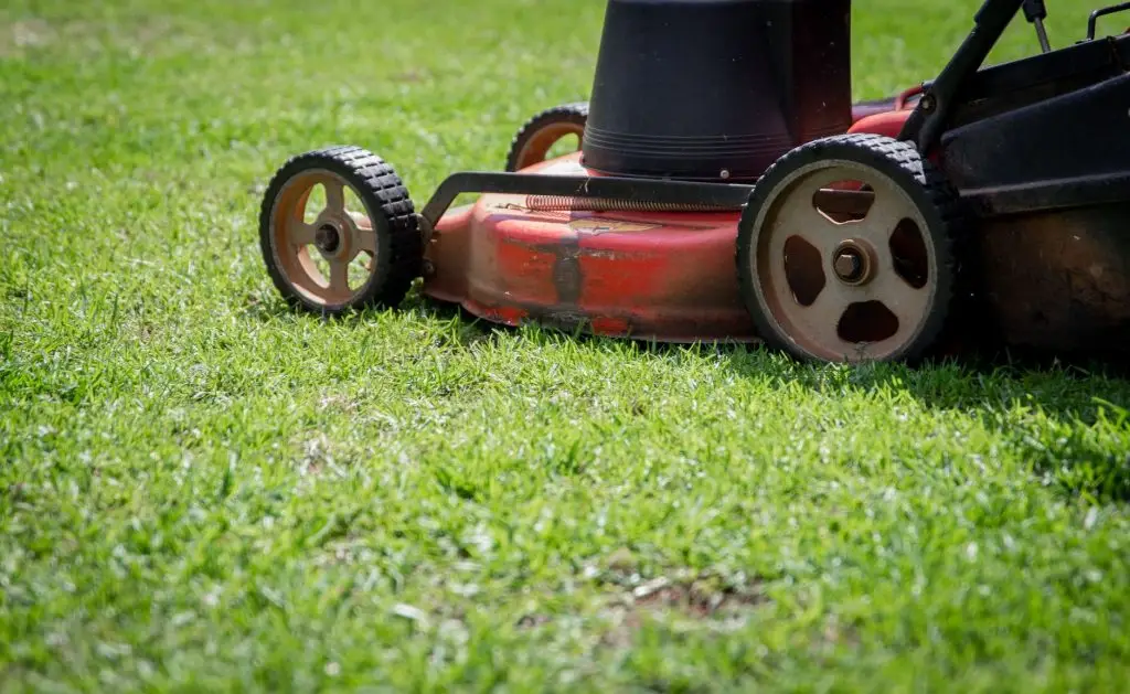 Gepflegte Gartenanlage in Köln – ÖKS Dienstleistungen